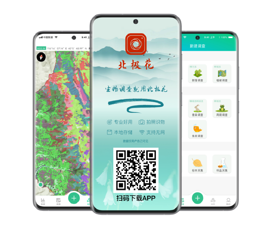 北極花APP